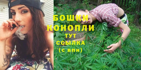 2c-b Новозыбков