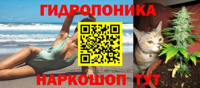 спайс Аргун