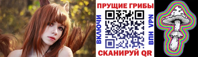 наркотики  Большой Камень  Псилоцибиновые грибы Psilocybe 