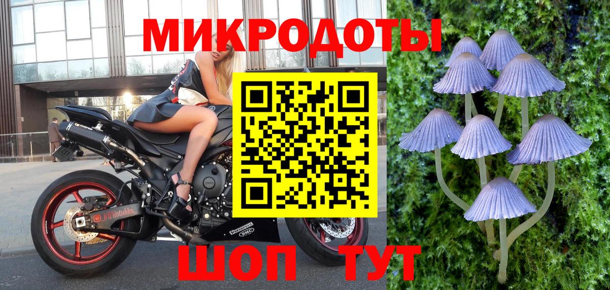 Псилоцибиновые грибы Psilocybine cubensis Большой Камень