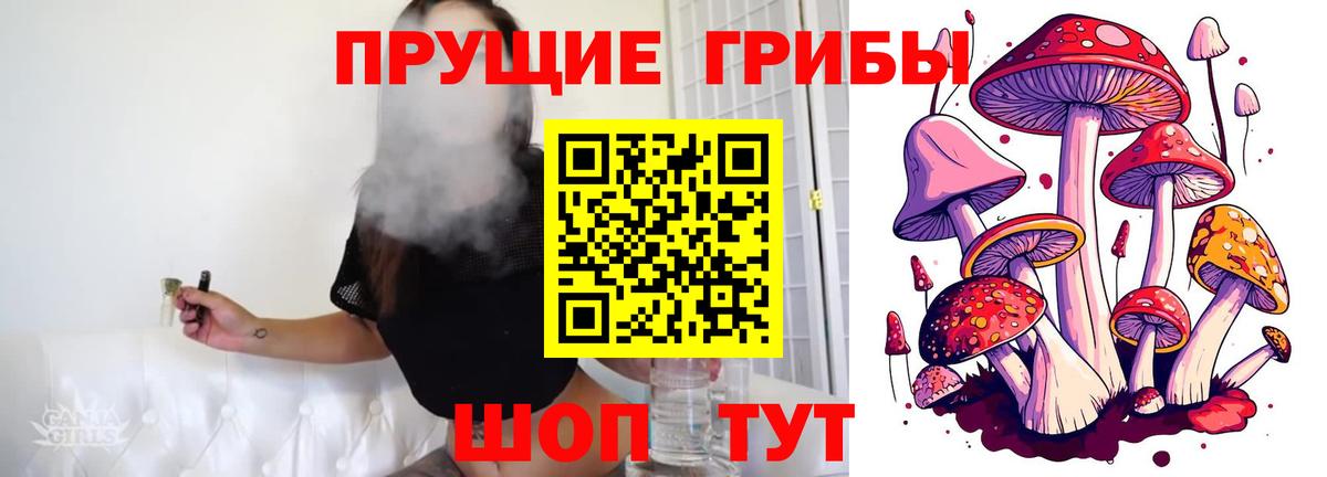 Галлюциногенные грибы ЛСД  Галлюциногенные грибы Psilocybe  Большой Камень 